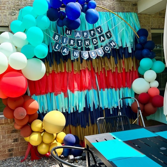 Fringe Backdrop - Picture 4 of 4